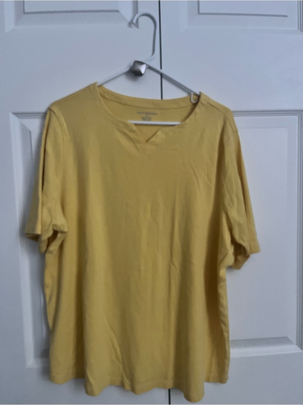 Appleseed's Men's Short Sleeve Tee in Pale Yellow
